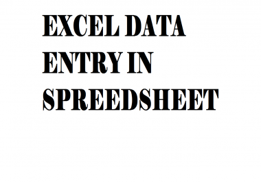 I will also do data entry into excel