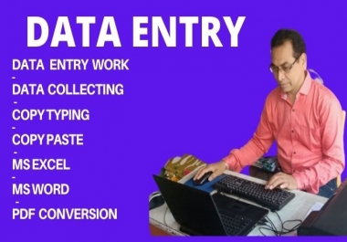 I will do excel data entry,  copy paste,  typing job.