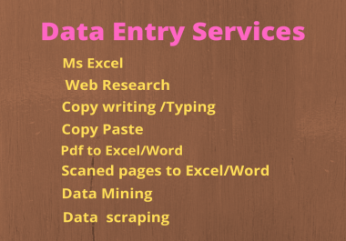 I will do Data Entry, Copy Paste, Web Research and Excel Data sheet