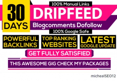 I Will DO 30 Days SEO Backlinks Package High Quality Links 100