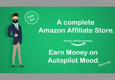 I will create instant money generator amazon affiliate autoblog