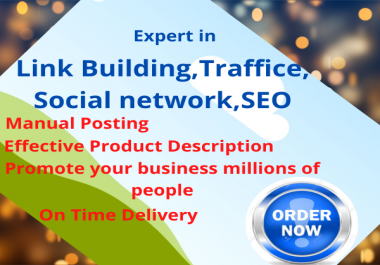 i will do organic promotion to bring USA traffic and link building