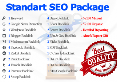 I will make a quality standard SEO package