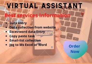 I will be your professional virtual Assistent