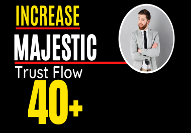 I will increase Majestic trust flow,  majestic tf 40plus guaranteed