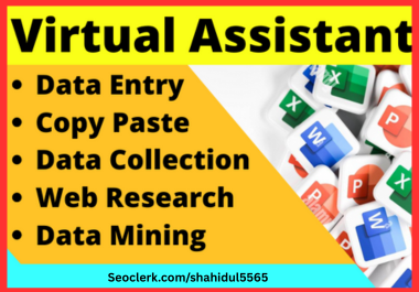 I will do Expert Excel Data Entry,  Web Research and Data Collection within 5 Hours