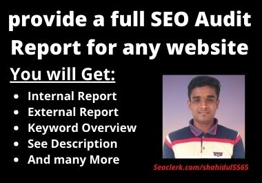 I will provide a full SEO Audit Report for any website