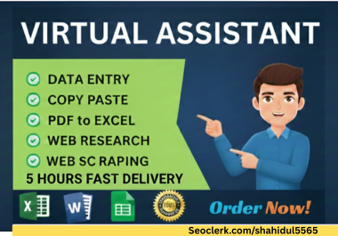 I will do Expert Excel Data Entry,  Web Research and Data Collection within 5 Hours
