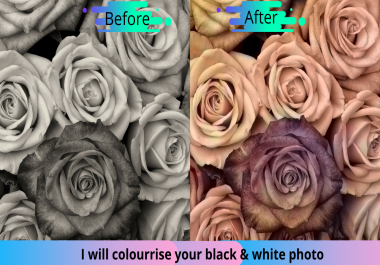I will colour rise to your black and white image