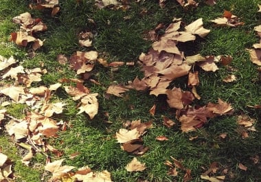 Get Premium 1000+ PBN backlink with High DA/PA/TF/CF on Your Homepage with Unique Website