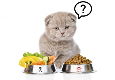 8 Human Food you should not feed your cat article +1000 word