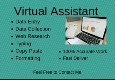 I will do perfect data entry,  email and web scraping
