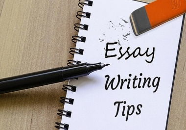 High quality over 500words articles writing