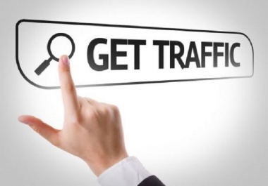 I will drive the highest quality traffic to any of your website for 30 days