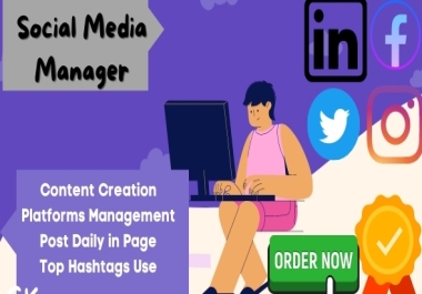 i will do social media marketing manager and virtual assistant for you
