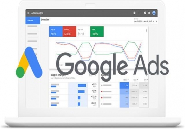 I will do google adwords PPC campaign for your company