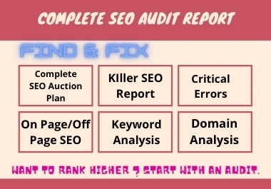I will do professional seo audit report for your website