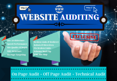 I will provide a professional Website SEO audit report