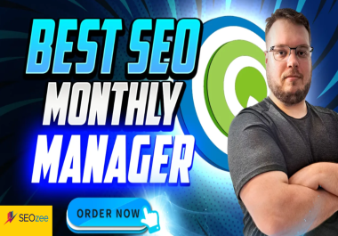 Complete monthly SEO package to rank higher in google