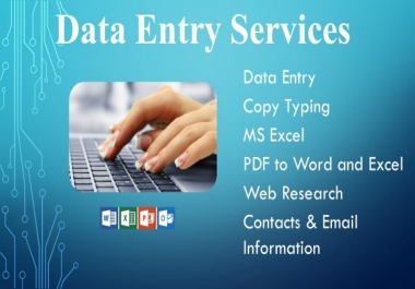I will do Excel and MS Word Data Entry,  Copy Paste and Typing for you