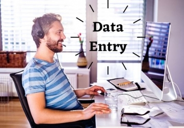 I will be data entry,  copy paste,  web research,  web scraping and excel data entry