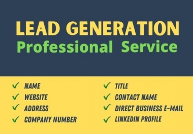 I will do professional b2b lead generation and build targeted contacts list