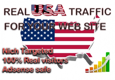 I will bring USA targeted daily visitors for your website