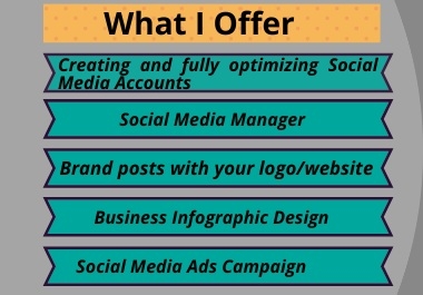 social media manager and social media ads campaign