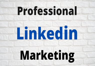 I will setup and optimize your Linkedin business page and ad campaign professionaly