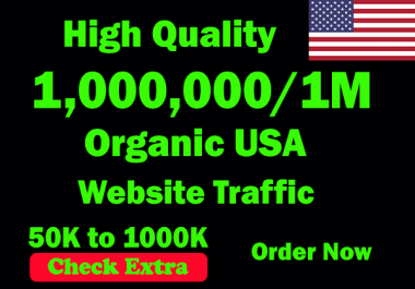 I will Drive 1 Million USA Keyword Targeted/Social Media Traffic To Your Website Within 60 Days.