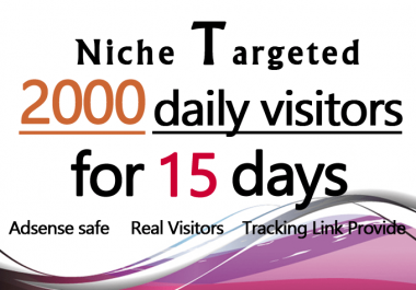 Real Organic Niche Targeted Traffic To your web site for 15 Days