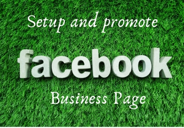 I will Setup and promote of your FB business page