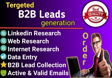 I will provide high-quality b2b lead generation for your Targeted Niche
