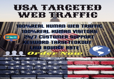 I will bring USA targeted daily real human visitors your web site