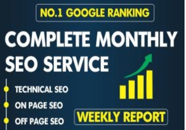I will provide complete monthly seo service for google 1st page ranking