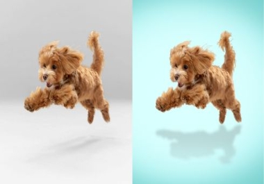 Expert eBay & Amazon Product Photo Editing Background Removal & Retouching