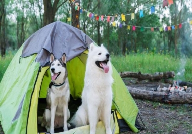 this article about camping with dog