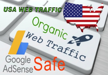 I will provide 100,000 USA keyword target, organic traffic, trackable with google adsense