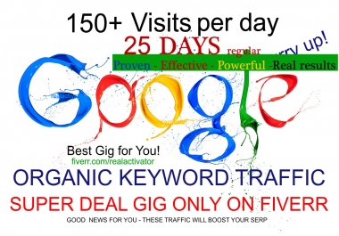 I will drive 25 days google organic search traffic using keywordss