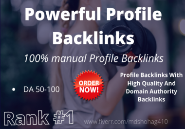 I will do 200+ high authority domain SEO profile backlinks