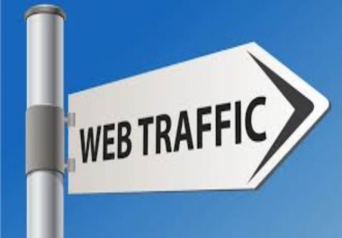 I will increase your website ranking through real web traffic
