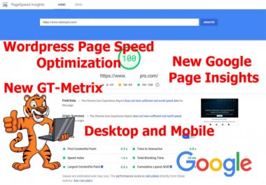 I Will Optimize your WordPress Site for for google page insights