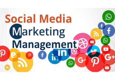 I will do Professional Social Media Marketing Management