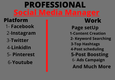 I Will be your professional social Media Marketing Manager expert