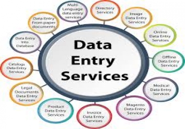 I am a Dataentry Expert I have a hunge experience in typing work