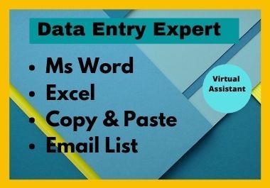 I will be your professional Data Entry virtual assistant.