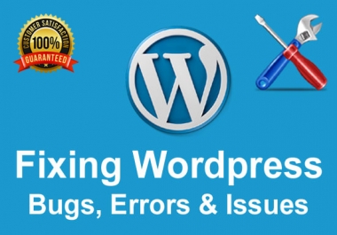 I will fix wordpress errors,  issues and bugs