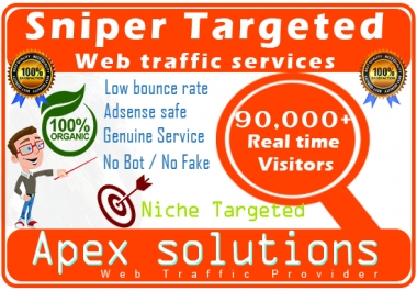 I will drive niche targeted web traffic 30 days for your websites