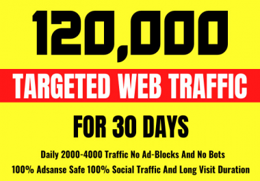 I will provide you 120,000 organic USA web traffic
