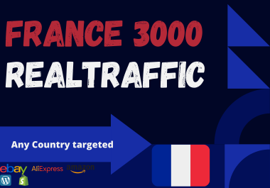 France website Real person 3000 traffic low bounce rate google analytics trackable